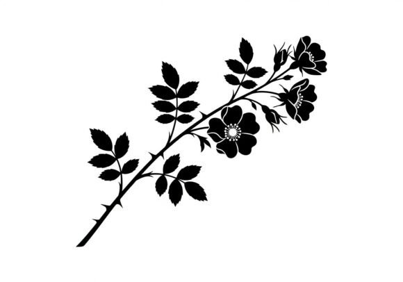 Black Silhouette of a Thorny Rose Branch: A Strategic Asset for Visual Communication